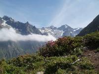 Youri - Ecrins 2005 339